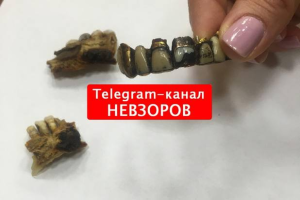 зображення_2025-05-02_205100141.png