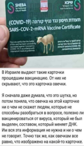 Безымянный.png