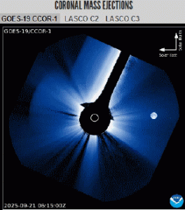 12.gif