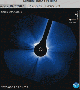 122.gif
