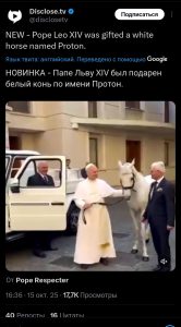 1000083278.jpg