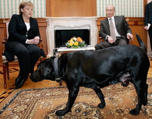 зображення_2025-10-12_183134660.png