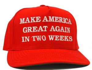 make america great in 2 weeks.jpg